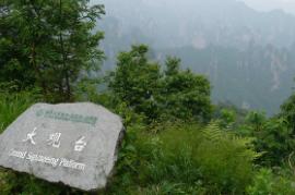 ���^�_(t��i)���c(di��n)