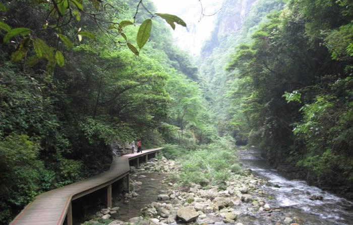 張家界大峽谷