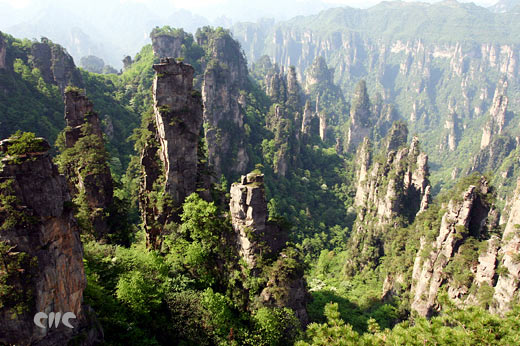 ���ҽ�����΃�(y��u)��ͨƱ�������N�����g�ɽ硱